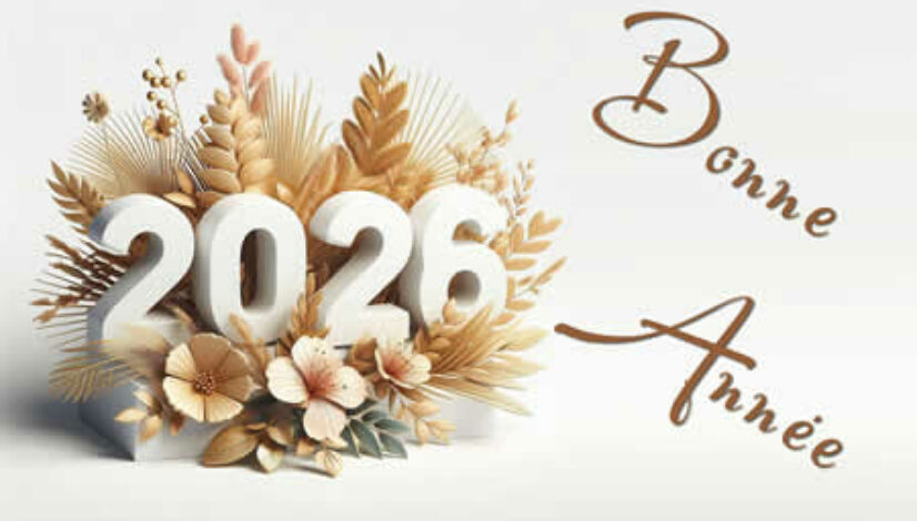 meilleurs-voeux-2026